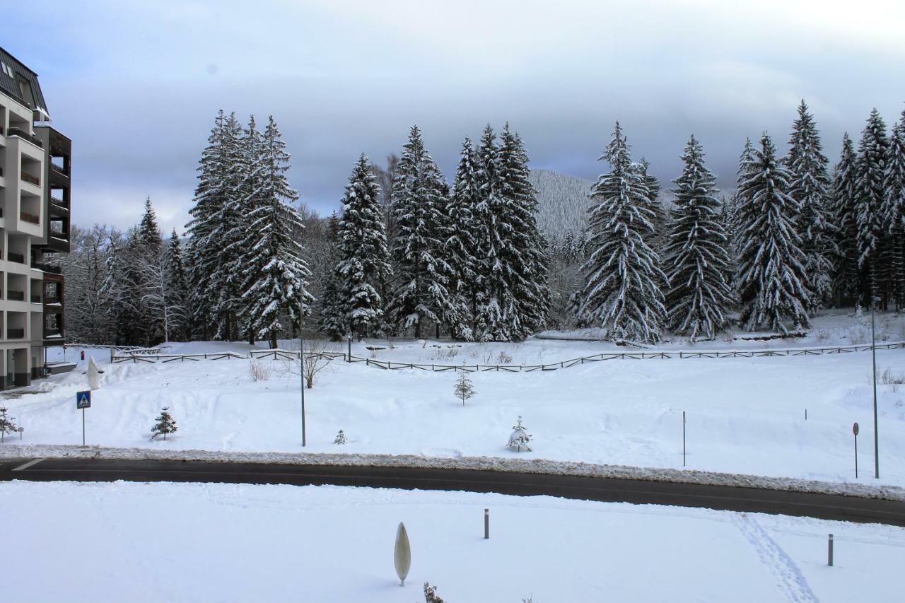 Silver Mountain Apartment A32 - 3 Rooms 3 Bathrooms Poiana Brasov Eksteriør billede